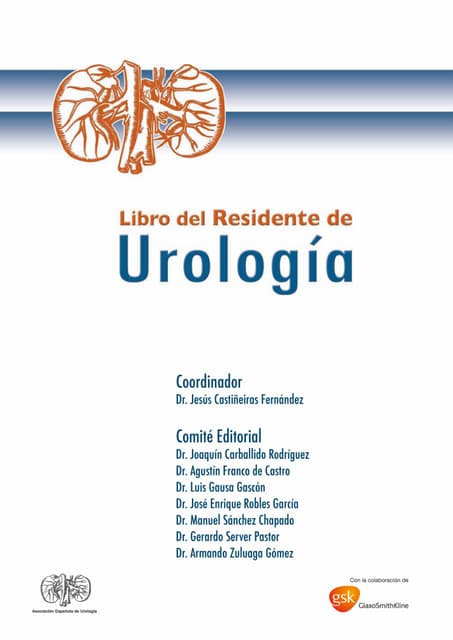 Urologia General De Smith Epub Download